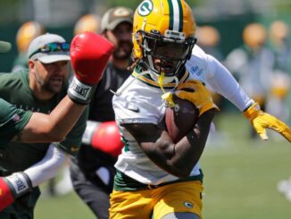Juwann Winfree, Packers