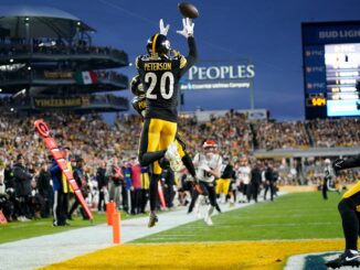 Patrick Peterson, Green Bay Packers