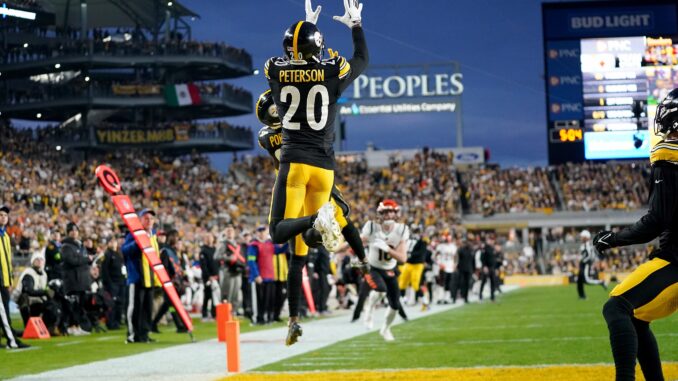 Patrick Peterson, Green Bay Packers