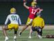 Michael Pratt, Green Bay Packers
