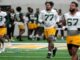 Jordan Morgan, Packers