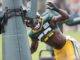 Brenton Cox Jr., Green Bay Packers